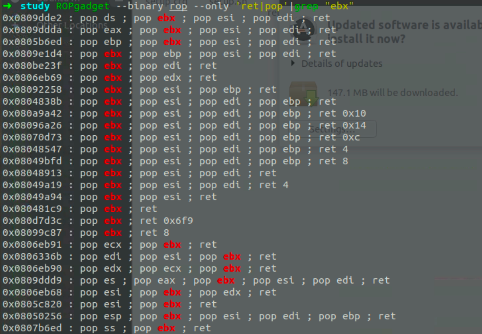 image-20221010110415688